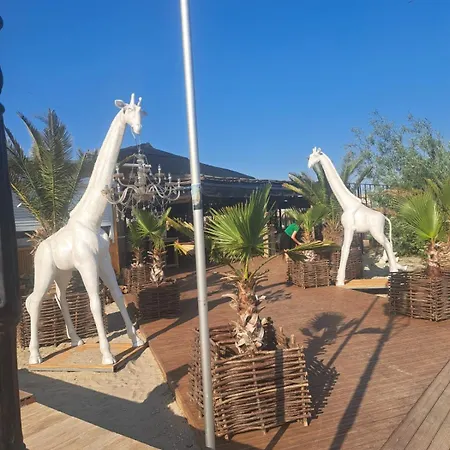 2 Maho Apartment Navodari