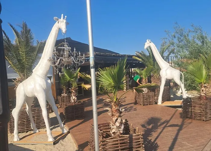 2 Maho Apartment Navodari